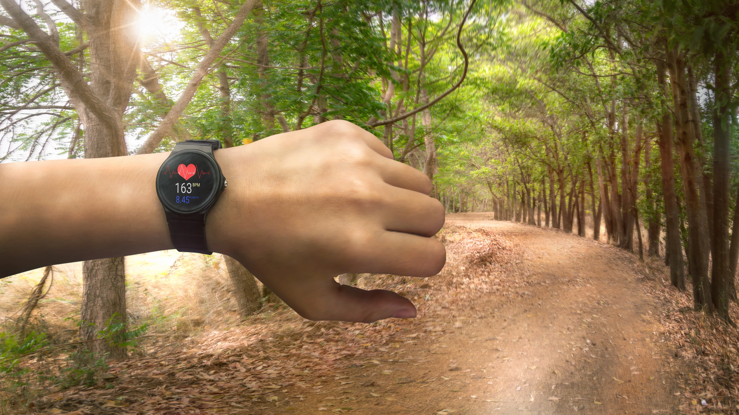 Heart Rate Zones Demystified